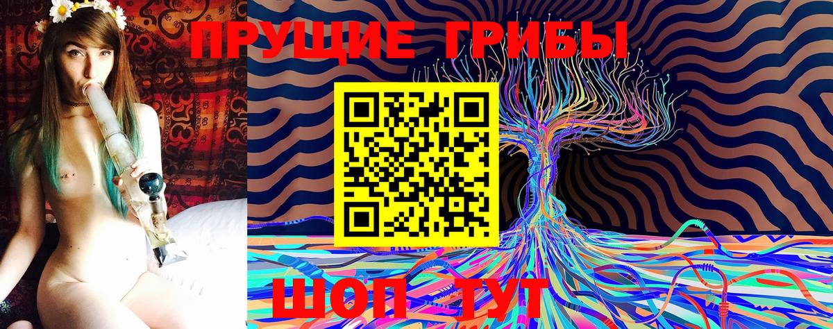 Псилоцибиновые грибы Psilocybe Троицк