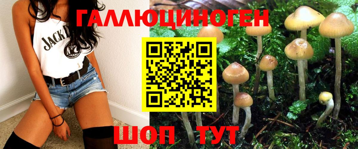 Псилоцибиновые грибы ЛСД  Галлюциногенные грибы Psilocybe  Троицк  Вход с VPN 