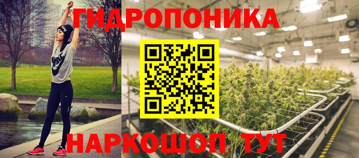 Бошки Шишки план  Конопля конопля  Вход с VPN  Троицк  Шишки марихуана Ganja 